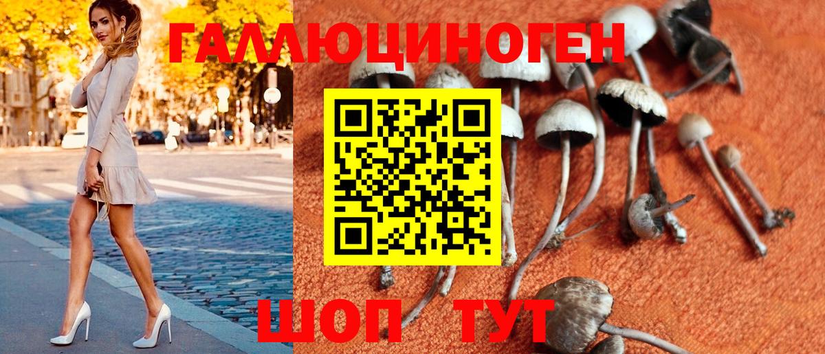 Псилоцибиновые грибы Magic Shrooms  Галлюциногенные грибы MAGIC MUSHROOMS  Вход с VPN  Тельмана 